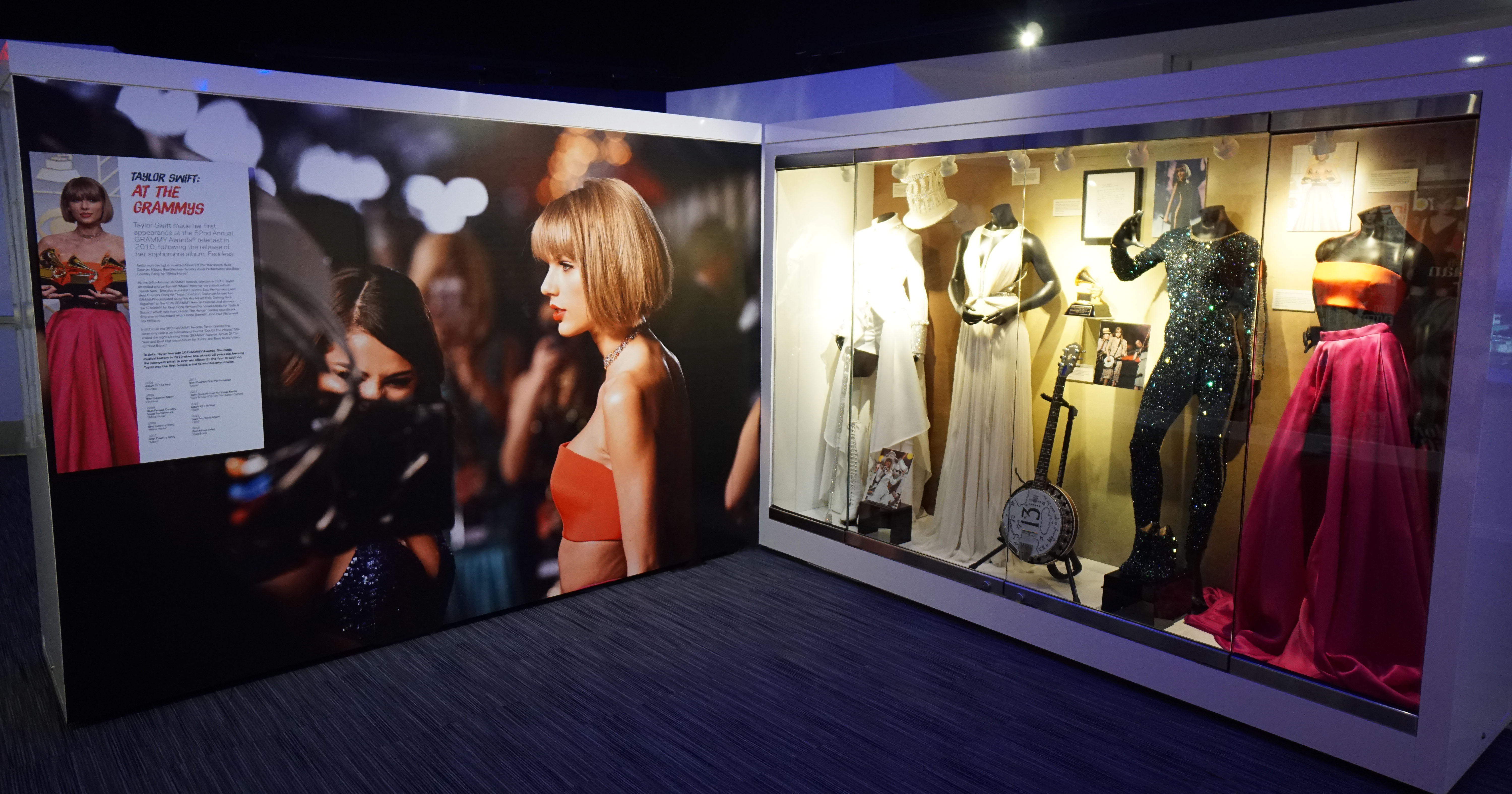 The Taylor Swift Experience 